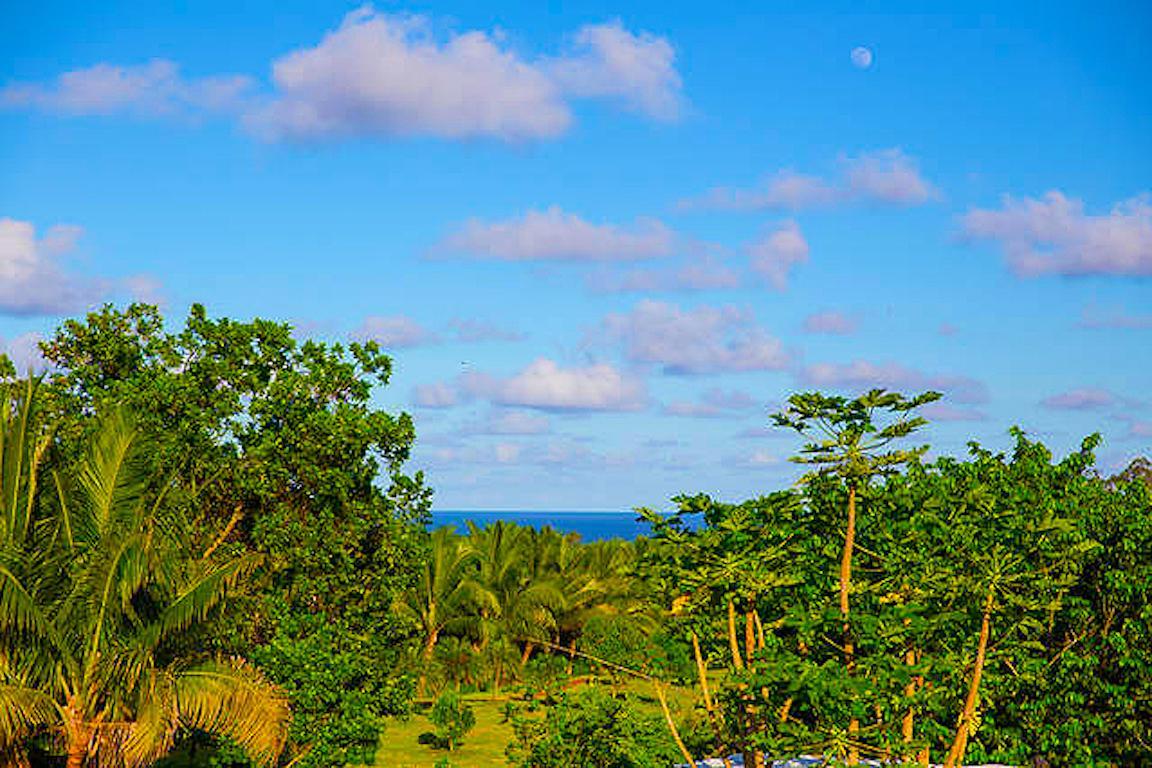 Kirpal Meditation And Ecological Center Pahoa Exteriör bild