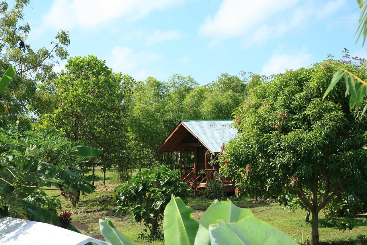 Kirpal Meditation And Ecological Center Pahoa Exteriör bild