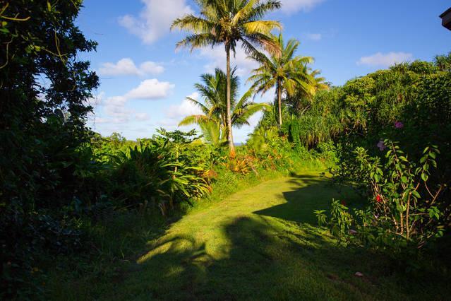 Kirpal Meditation And Ecological Center Pahoa Exteriör bild