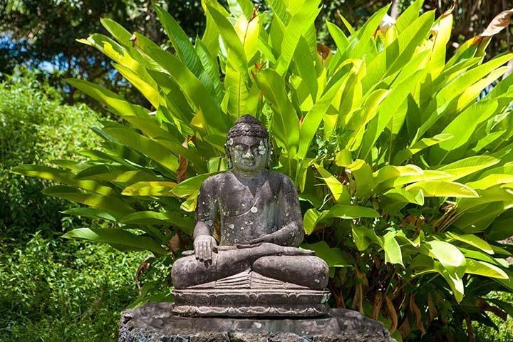 Kirpal Meditation And Ecological Center Pahoa Exteriör bild