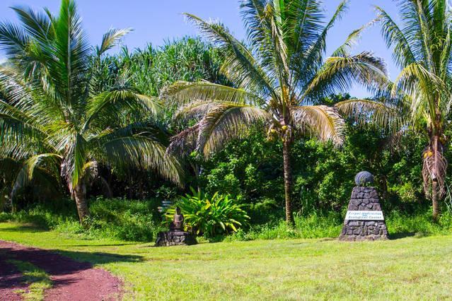 Kirpal Meditation And Ecological Center Pahoa Exteriör bild